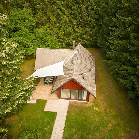 Вилла Cebelnk: Sanjska Hisica 4 Km Od Bleda Лешче Экстерьер фото